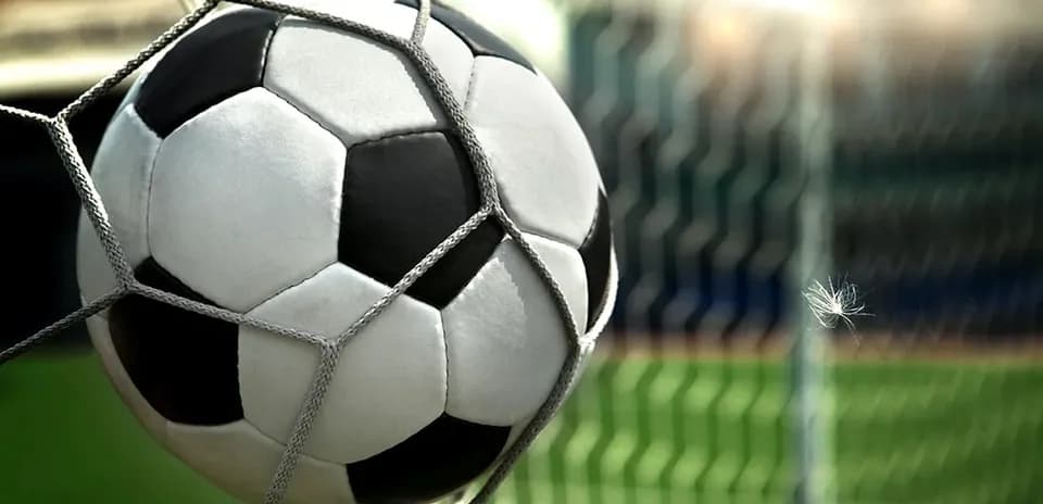 Soccer ball in goal net on field