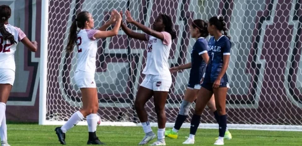 Players celebrating a goal during a soccer match