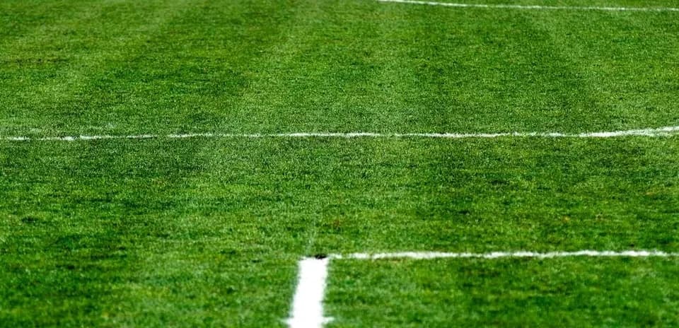Close-up of a freshly marked football pitch