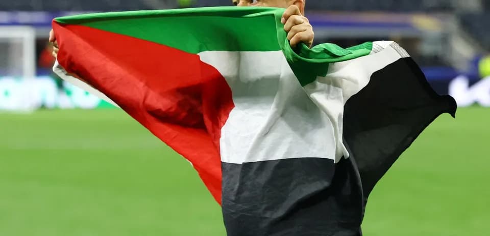 Person holding a flag on the field