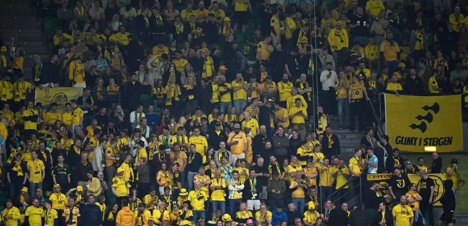 Bodo/Glimt fans cheering during a match