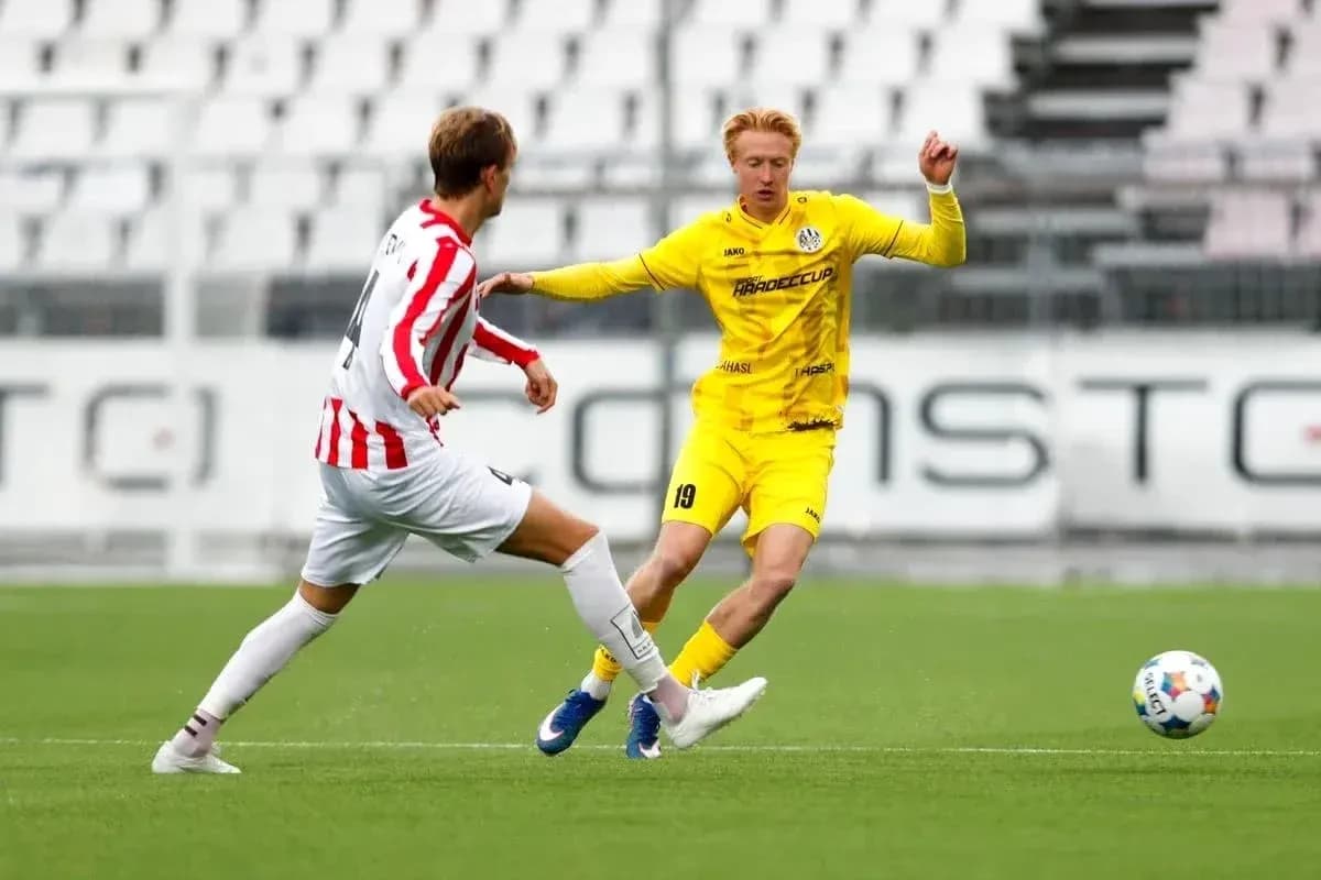 Players competing during Hradec Králové football match