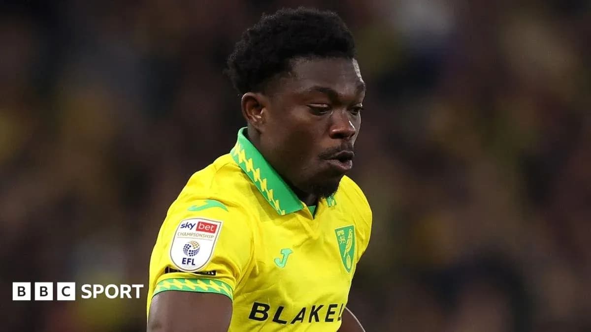 Norwich City player in yellow kit during match