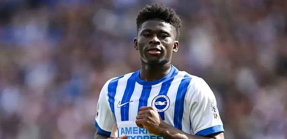 Player in Brighton & Hove Albion kit during match