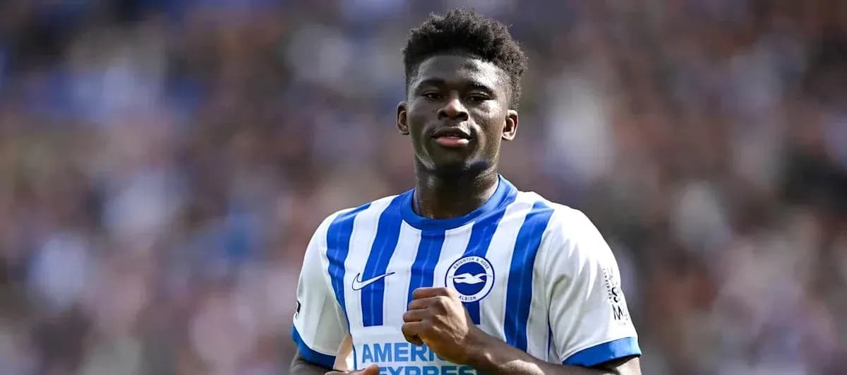 Player in Brighton & Hove Albion kit during match