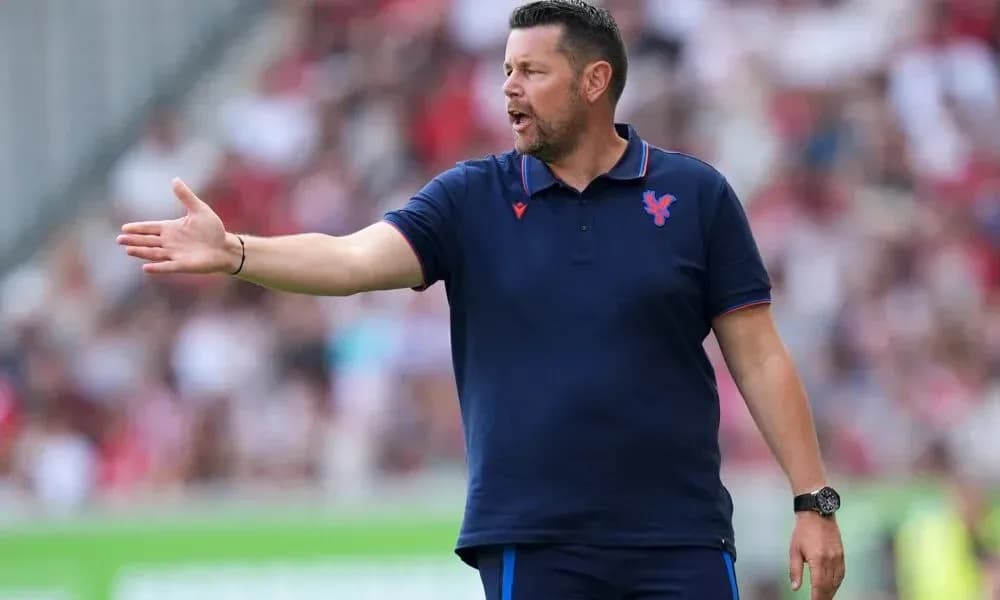 Manager gesturing during match on sideline Manager gesturing during match on sideline