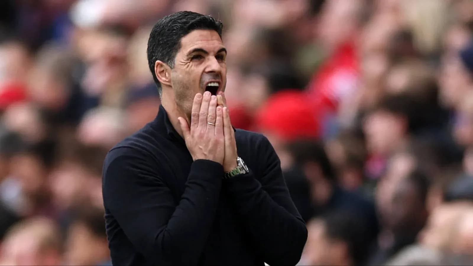 Manager reacting during a football match on sidelines Manager reacting during a football match on sidelines