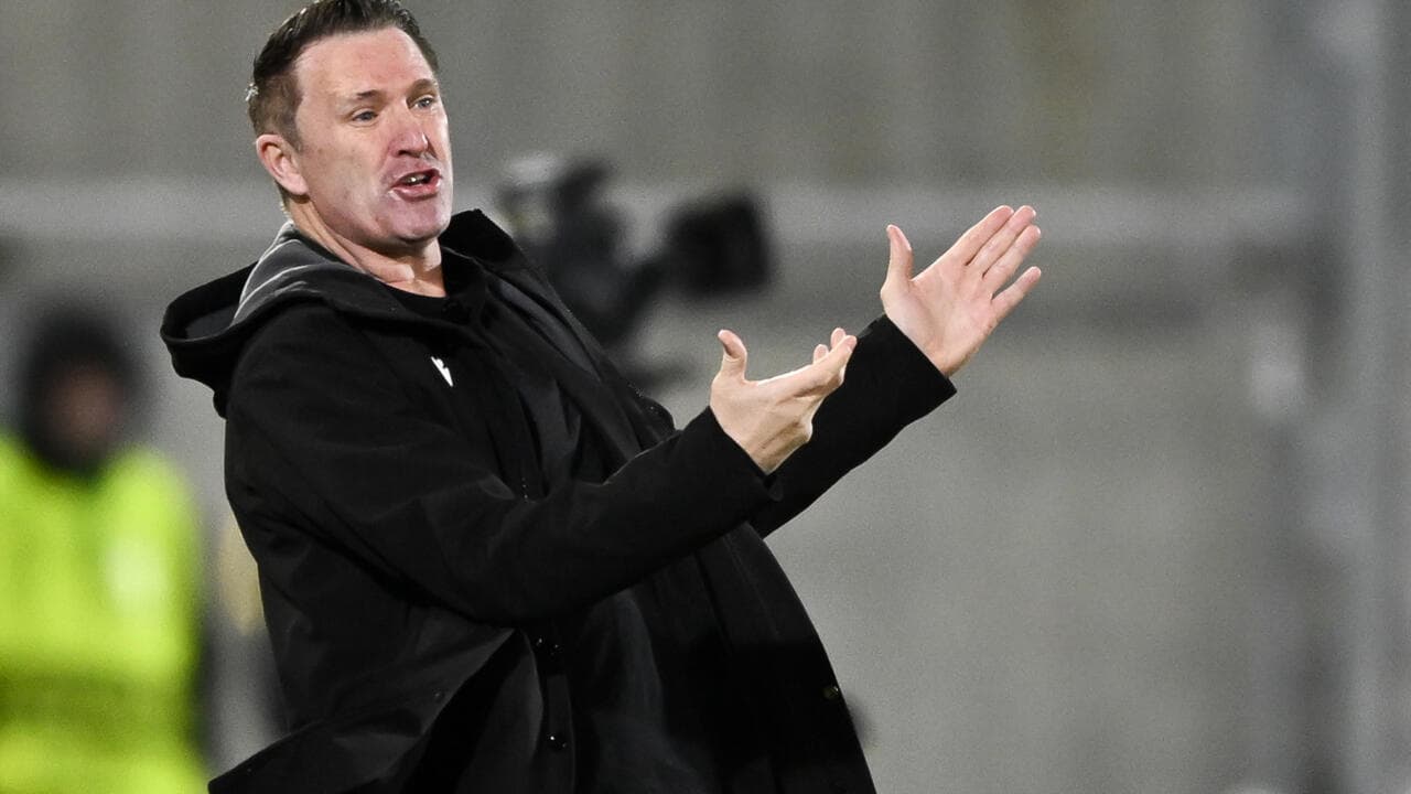 Coach gesturing during a match on the sidelines Coach gesturing during a match on the sidelines