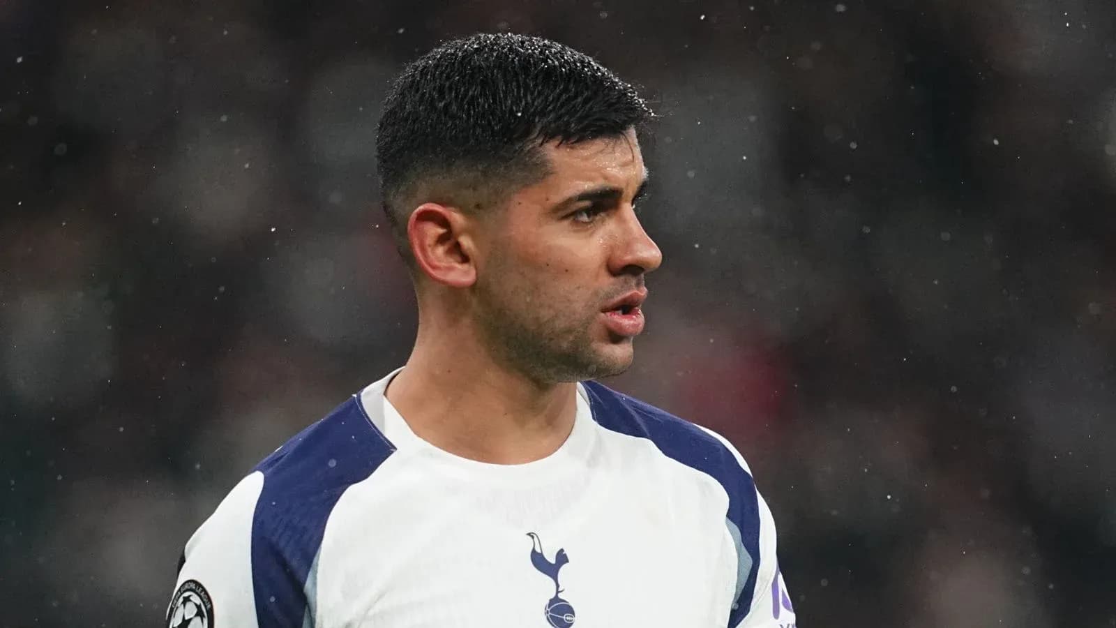 Player in Tottenham kit during match at stadium Player in Tottenham kit during match at stadium