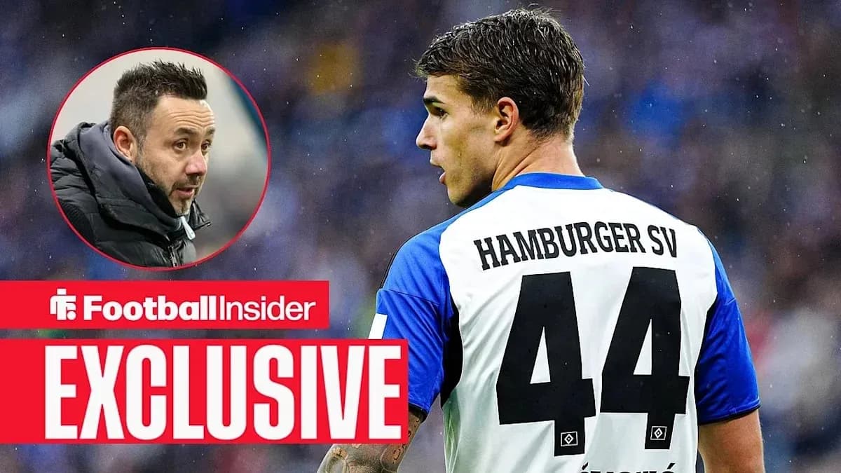 Player wearing Hamburger SV jersey during match Player wearing Hamburger SV jersey during match