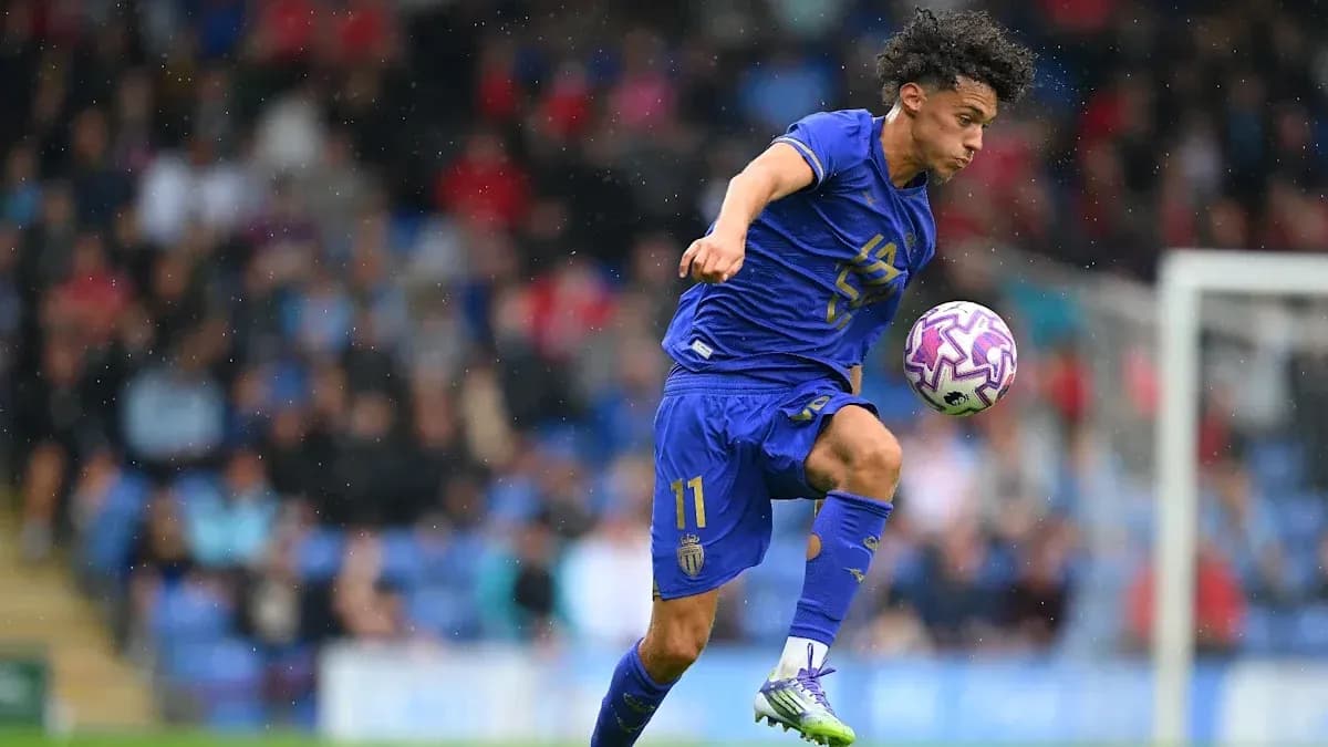 Player kicking a soccer ball during match Player kicking a soccer ball during match